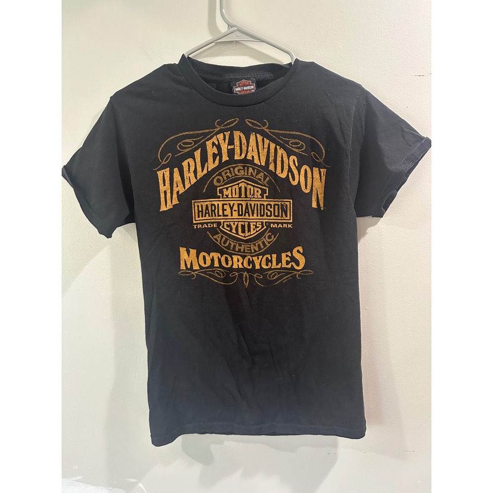 Harley-Davidson Silverton Colorado T-Shirt Mens Small Black Graphic Tee